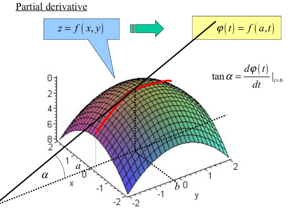 Partial derivative