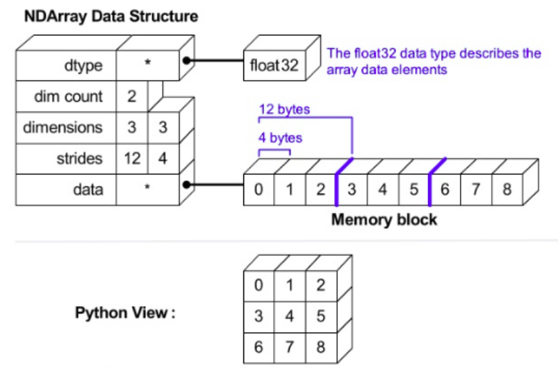 https://stackoverflow.com/questions/57262885/how-is-the-memory-allocated-for-numpy-arrays-in-python